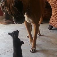 Jill Dempsey Photo 19