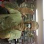 Adam Harrison Photo 14