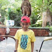 Harvey James Photo 19