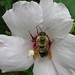 Sharon Reilly Photo 15