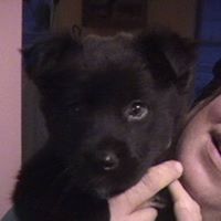 Nancy Sparrow Photo 18 Nancy Sparrow Photo 18