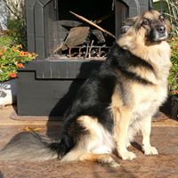 Darryl Taylor Photo 23