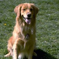 Marti Brown Photo 19