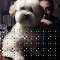 Joshua Wilder Photo 20