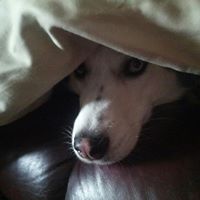 Kristen King Photo 14