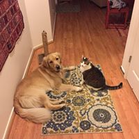 David Cotter Photo 32 David Cotter Photo 32