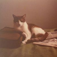 David Sherr Photo 12