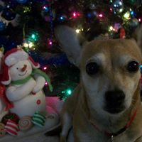 Darlene Scott Photo 34