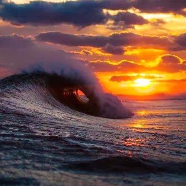 Robin Mclean Photo 15