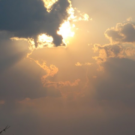 David Gilbertson Photo 24