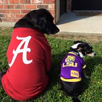 Anne Echols Photo 6