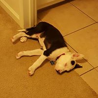 Sarah Terry Photo 28