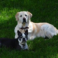 Corey Schultz Photo 8