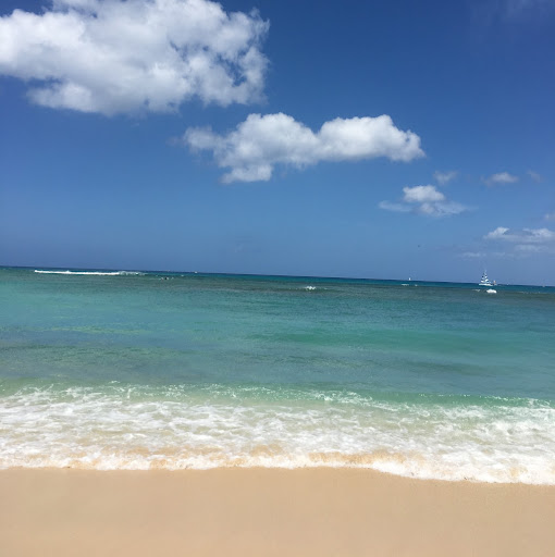 Elyse Stern Photo 15