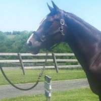 Christine Farley Photo 20