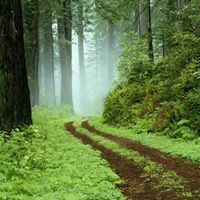 Ruthie Thompson Photo 13