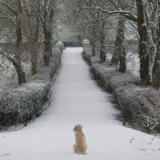 Margaret Curran Photo 33