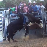 Alex Johnson Photo 15