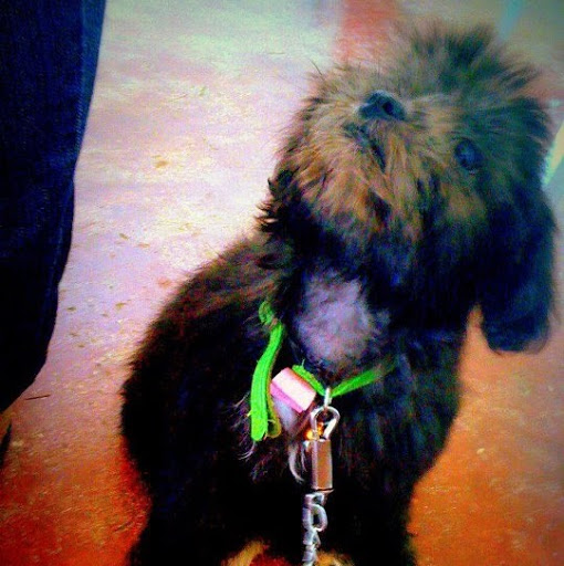 Richard Gee Photo 29