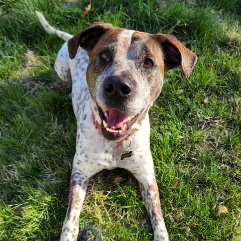 Connor Lyons Photo 9