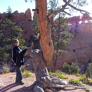 Connie Lyons Photo 42