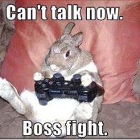 Joshua Cutler Photo 16