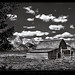 Michael Moulton Photo 56