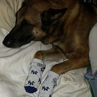 David Kushnir Photo 3