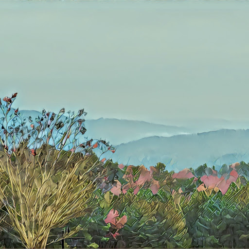 Jeannette Moore Photo 10