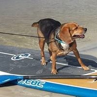 Cheri Johnson Photo 4