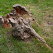 Henry Field Photo 14