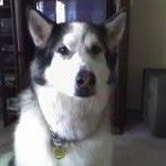 Cynthia Hughart Photo 2