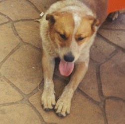 Penny Roberts Photo 24