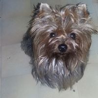 Maria Bernard Photo 35