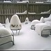 Mary Snow Photo 30