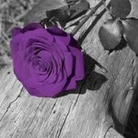 Becky Parrish Photo 19