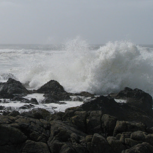 Cathy Erickson Photo 6