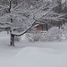 Kathie Winters Photo 13