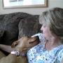 Pamela Cartwright Photo 21