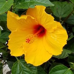 Laura Gregory Photo 13 Laura Gregory Photo 13