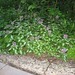 Steven Earles Photo 11