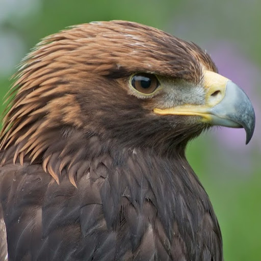 Cheryl Russ Photo 11