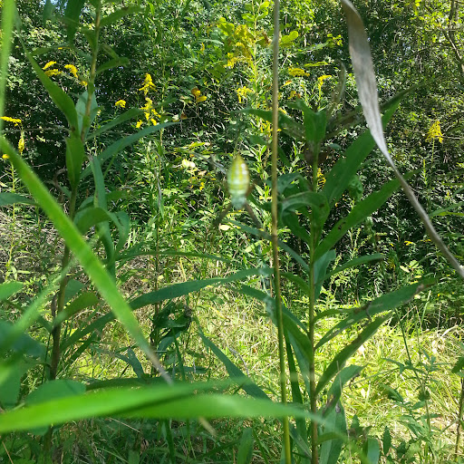 Kenneth May Photo 9 Kenneth May Photo 9