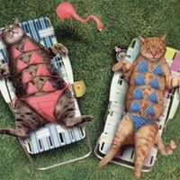 Betty Wiley Photo 35