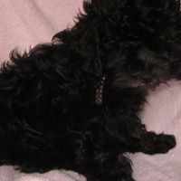 Julian Valencia Photo 10