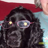 Susan Severson Photo 6