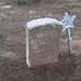 William Potts Photo 14