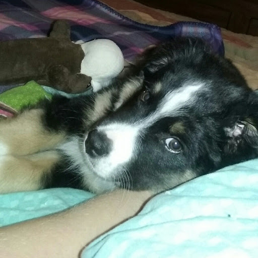 Kirsten Sharp Photo 5