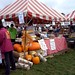 Paul Rusch Photo 16