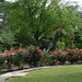 Sue Dean Photo 36